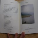 두발로무역
