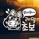 초이자동차용품