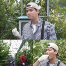 대추나무식당 이미지