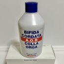 에이오비 이미지