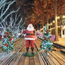 청도프로방스 불빛축제 카라반 펜션 이미지