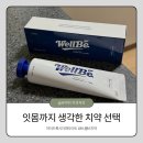 웰비엔 | 웰비치약 하이드록시아파타이트 잇몸 케어, 웰비 잇몸치약 후기