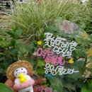 예쁜글씨, 캘리그라피 이미지