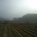 삼화교역 이미지