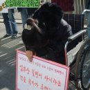 삼성산업안전(주) 이미지