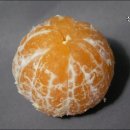 나영농장 이미지