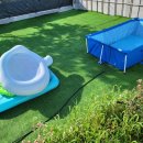 포포퍼피 이미지