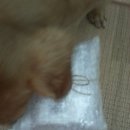 이지 스트랭스 이미지