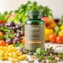 생활 공유소 | 루테인 복용시간 복용법