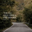 캔바로 카드뉴스 만들기 이미지