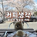 좋은생각 | 은평 불광천 카페 | 벚꽃 뷰 보며 쉬기 좋은 반려동물동반 카페 커피생각 후기