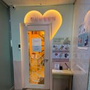 강아지 사랑 | [중랑/유기견카페] 다시사랑받개 | 입양 가능한 강아지 카페 방문 후기 (+봉사 방법)