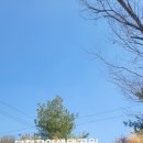 부천 무릉도원수목원 후기｜한옥과 데크길이 아름다운 도심 속 생태공원
