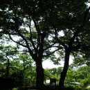 노원교길 이미지