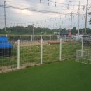 펫넘버원 이미지