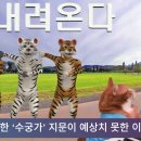 범 내려온다 수험생들 웃픈 반응 경북포털 국민의소리 이미지