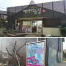 한태목장 | (양평군) 아이와 함께 딸기 따기 체험 양평 메아리농장 방문후기