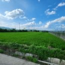 판동초등학교송죽분교장 이미지