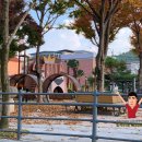 백암소공원 이미지