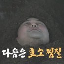 롯데리아 대구안지랑 | 대구 이색 체험 데이트 가볼만한 곳 추천 - 효소 찜질 체질 상담 자연사랑 효소찜질생식원