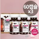 비오 이미지