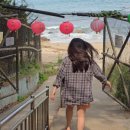 무릉계곡 진입로 이미지