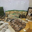 그린푸드 이미지