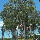 큰돌농장 | [하와이] 아이스크림 먹으러가는 돌 플렌테이션, 파인애플 농장 후기(+거북이 보는 라니아케아 비치까지...