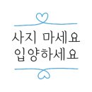 펫토피아 동물병원 이미지