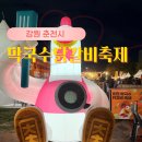 춘천2번지닭갈비 | 2025 춘천 막국수 닭갈비 축제 주차장 셔틀버스 초대가수 공연 막닭축제