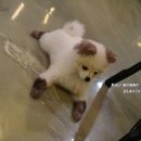 포포앤미루 강동점 이미지