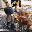 가온 동물병원 이미지