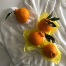 엘지농원 2 이미지