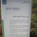 진달래꽃 명산 영취산을 찾아서! 이미지