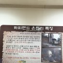 하피랜드 | 화성_워터파크 하피랜드.. 찜질방.. 찐 후기!!