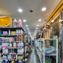 야옹아멍멍해봐 이미지