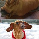 월드동물병원 이미지