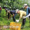 신흥농장2 이미지