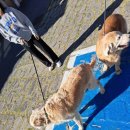 병암동주민센터 이미지