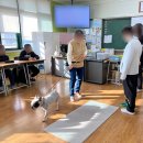 도당초등학교2 이미지