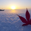 연세치과 이미지