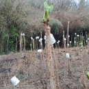 고무신농원 이미지