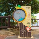 제주 서귀포 쇠소깍 이미지