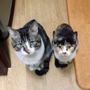 새로나 슈퍼 이미지