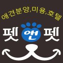 동일애견샵 이미지