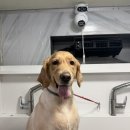 멍즈니랜드 이미지