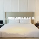 미니매니 | 연휴엔 서울 5성급 도심 속 호캉스 추천 소피텔 엠배서더 서울 호텔 매니피크룸 후기