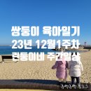 단천숯불갈비 | [쌍둥이 육아일기] 12월 1주차 린둥이네 주간 일기