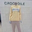 플라워레이디