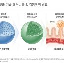 오리지널이노베이션그룹 | [공유] 2026년 산업전망-신한-엄민용의원님